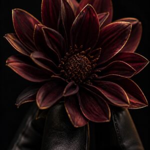 The Bespoke — Atelier Consultation